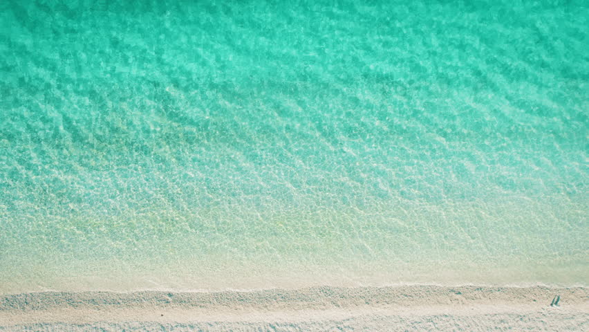 Shutterstock Video