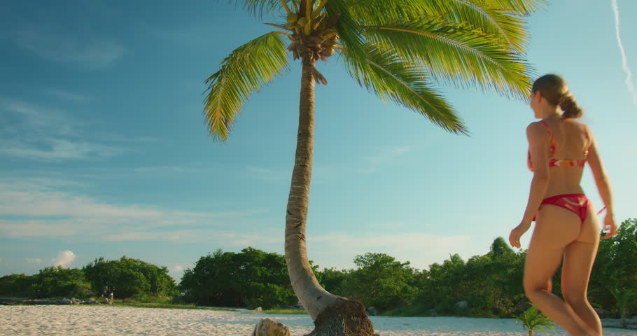 Woman in bikini climbs on bent palm tree at sandy beach in Riviera Maya Mexico