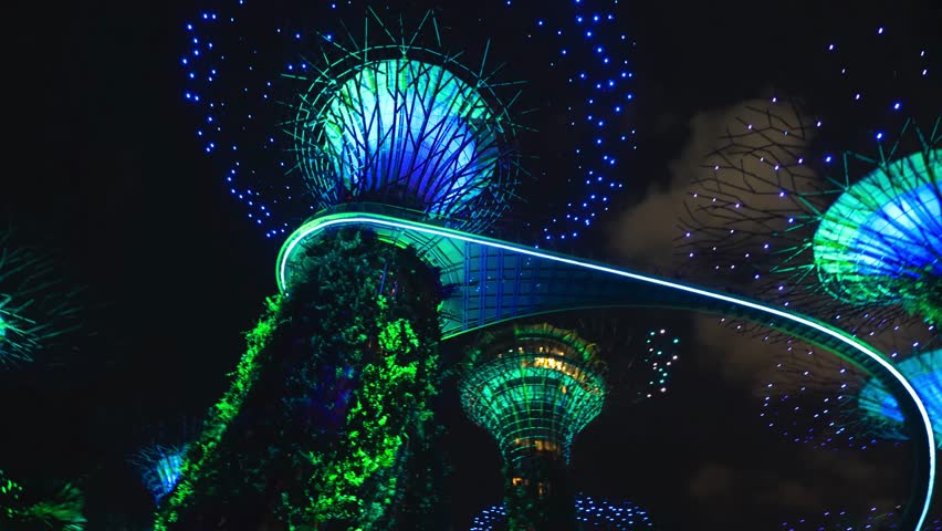 Marina Bay, Singapore. Long aerial walk in Gardens by the Bay at night, skyward view from the ground