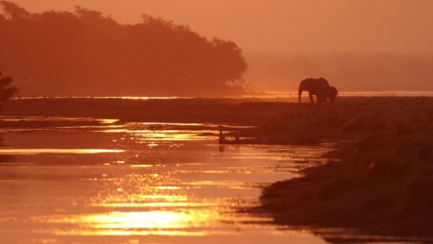 Beautiful African sunset along a river with two elephant silhouettes in the distance. Zimbabwe.