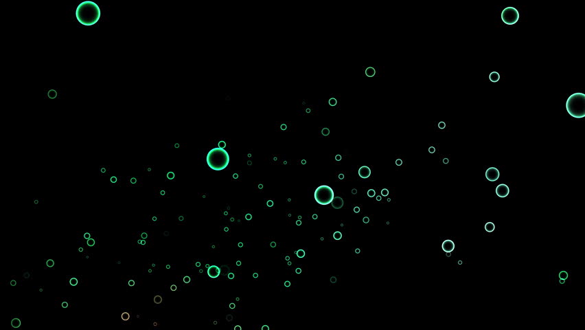 Shutterstock Video
