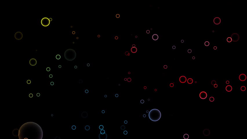 Shutterstock Video
