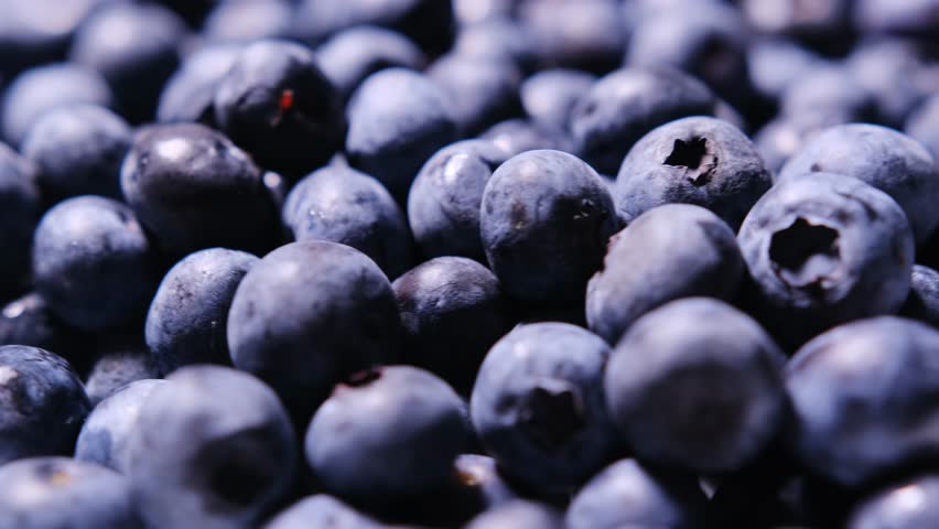 A closeup shows fresh blueberries, ideal for healthy recipes, smoothies, and tasty desserts 