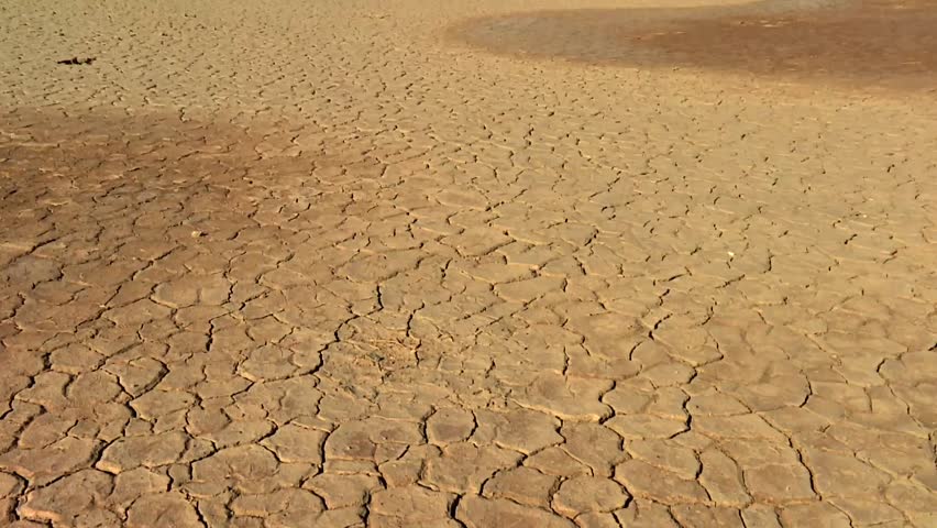 Expansive cracked mud surface with polygonal patterns stretches across desert plain under clear sky, with distant mountains in Death Valley National Park, California, USA