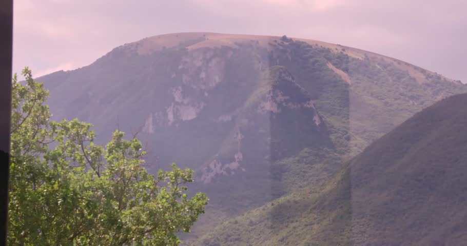 Shutterstock Video