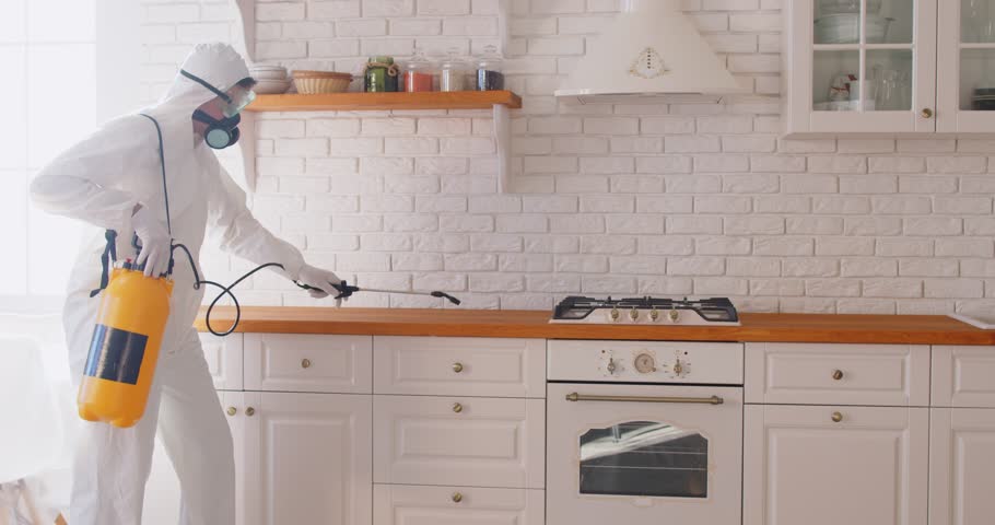 Exterminator, pest control service exterminating rats, cockroaches, harmful vermin, kitchen sterilizing, disinfecting, eliminating bacteria, germs, viruses, man in protective clothing cleaning home