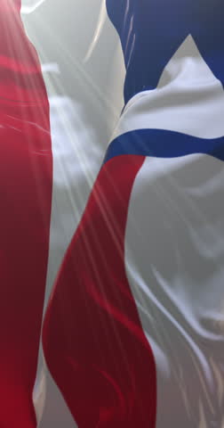 Bahia state flag, Brazil. Loop. 4K Vertical