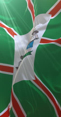 Goiania flag, Goias, Brazil. Loop. 4K Vertical