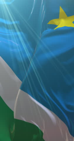 Mato Grosso do Sul state flag, Brazil. Loop. 4K Vertical