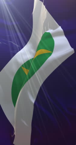 Mato Grosso state flag, Brazil. Loop. 4K Vertical