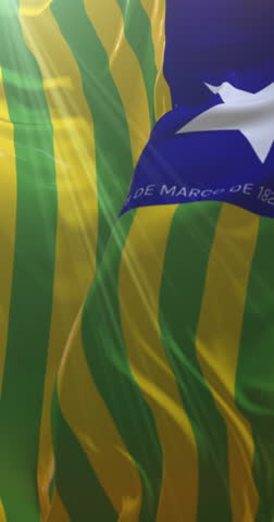 Piaui state flag, Brazil. Loop. 4K Vertical