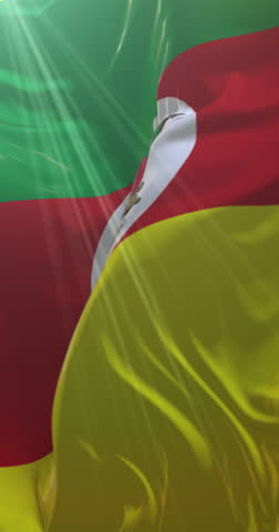 Rio Grande do Sul state flag, Brazil. Loop. 4K Vertical