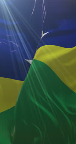 Rondonia state flag, Brazil. Loop. 4K Vertical