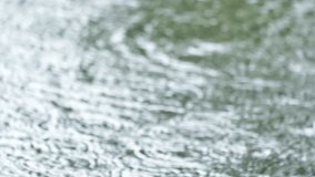 Raindrops falling into a pond - spreading ripples and rain atmosphere. slow motion. out of focus. - Powered by Shutterstock - Get 15% off with code: PIKWIZARD15
