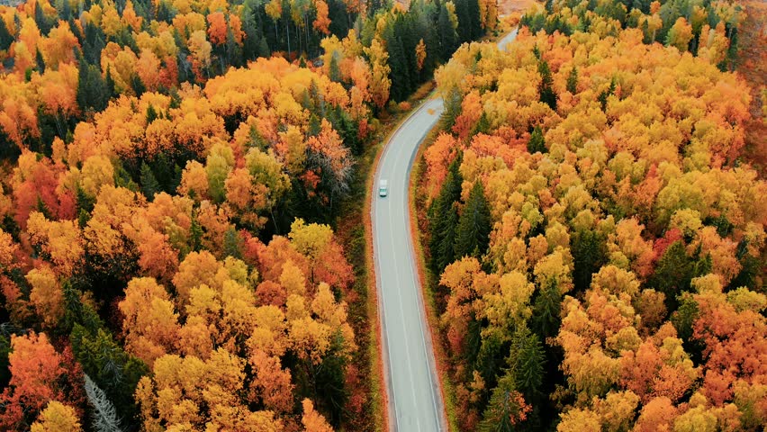 Aerial view of asphalt road with cars driving and colorful fall autumn forest in rural Finland. 