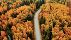 Aerial view of asphalt road with cars driving and colorful fall autumn forest in rural Finland.  - Powered by Shutterstock - Get 15% off with code: PIKWIZARD15