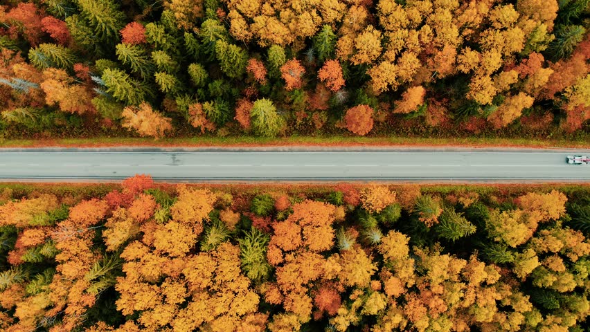 Aerial view of asphalt road with cars driving and colorful fall autumn forest in rural Finland. 