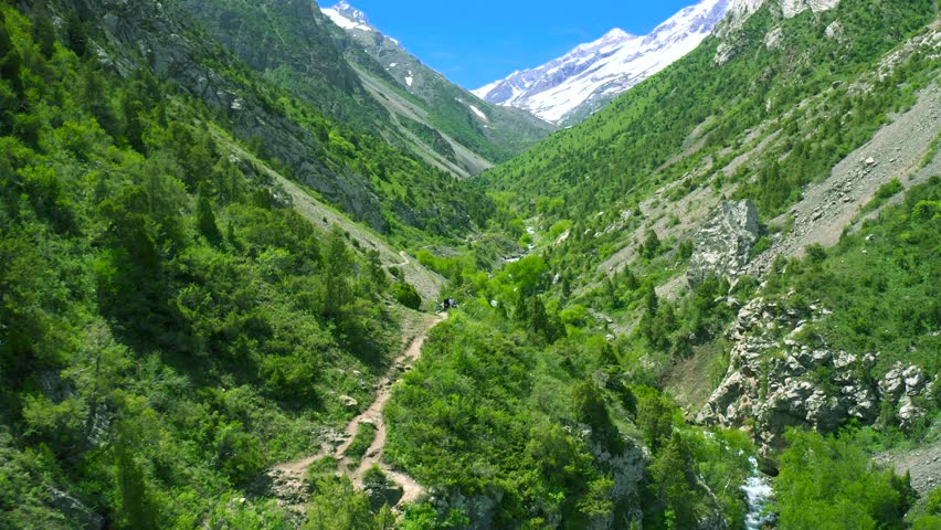 Aerial view of a green mountain valley with a winding path, river, trees, and snow-capped peaks in the distance, Himalayas.