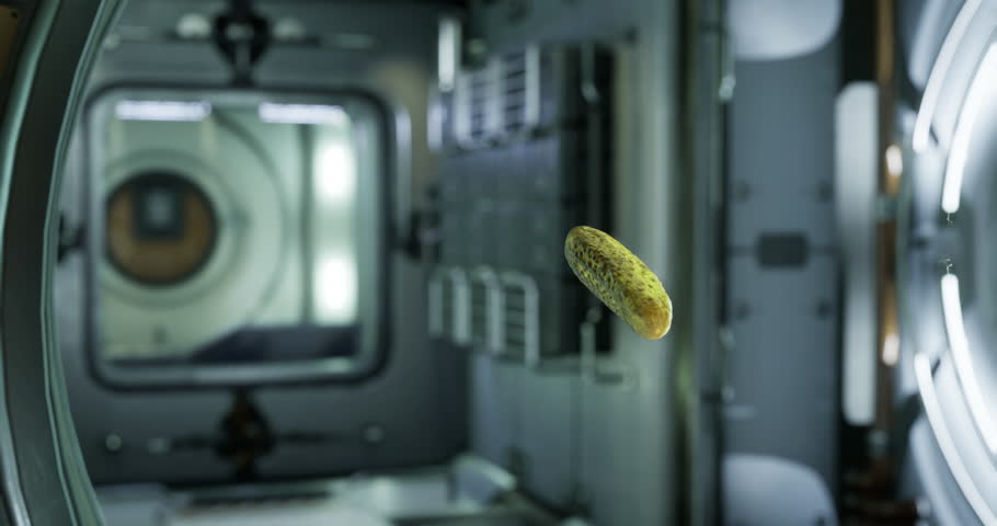 A pickled cucumber is suspended in the air, showcasing buoyancy in zero gravity within the international space station. This unusual sight highlights life in space.