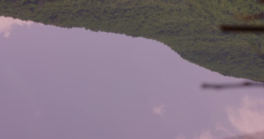 Shutterstock Video