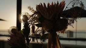 An arrangement of indoor plants with the sun shining through them and a person relaxing outside the house silhouetted in the sunlight - Powered by Shutterstock - Get 15% off with code: PIKWIZARD15
