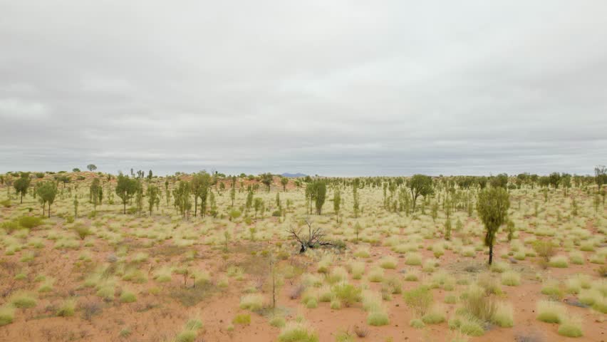 Red Center Landscape With Kata Tjuta (Mount Olga) In Distance. Northern Territory, Australia. wide drone shot