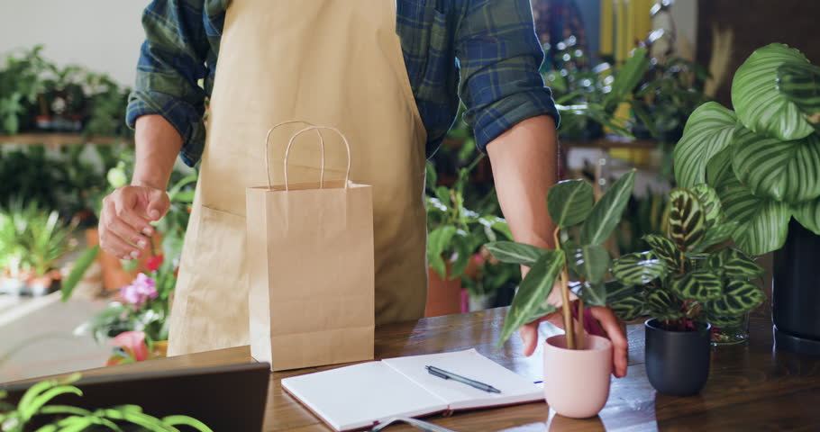 Shopping in flower store. Florist manager working in floral greenhouse. Close up hands man florist worker packs in paper bag and selling house plant in flower shop. People and business concept.