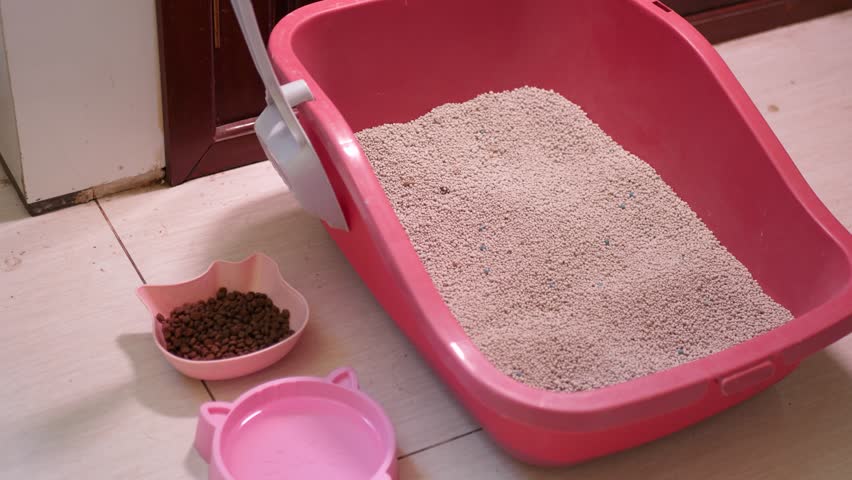 Hygienic cat toilet equipment, feeding bowl, animal house essentials