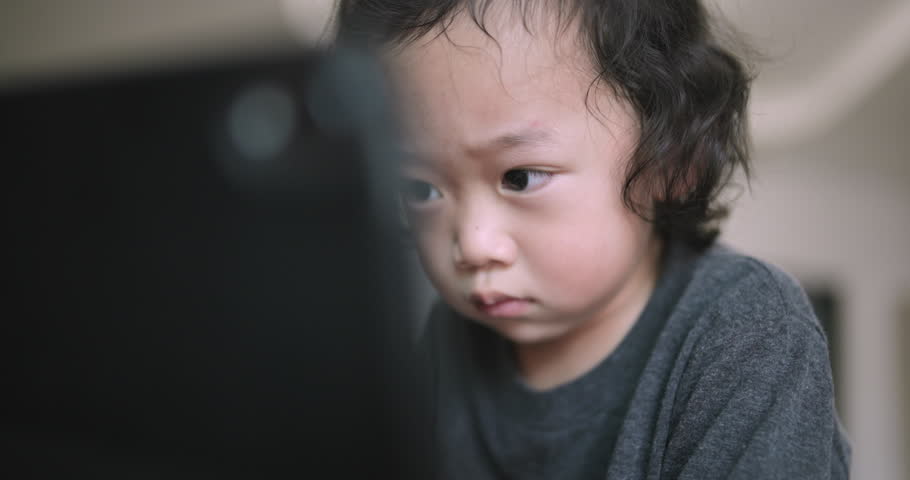 Shutterstock Video