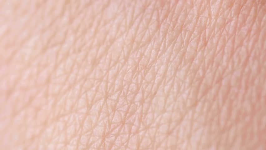 High-Resolution Close-Up Texture of Human Skin