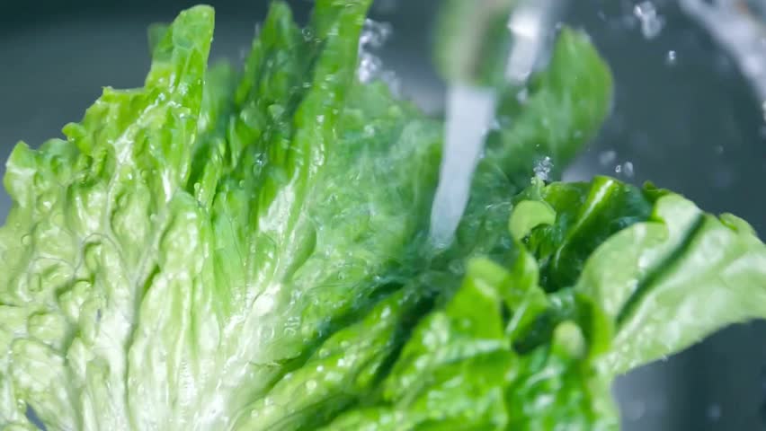 Washing Fresh Green Lettuce Under Running Water