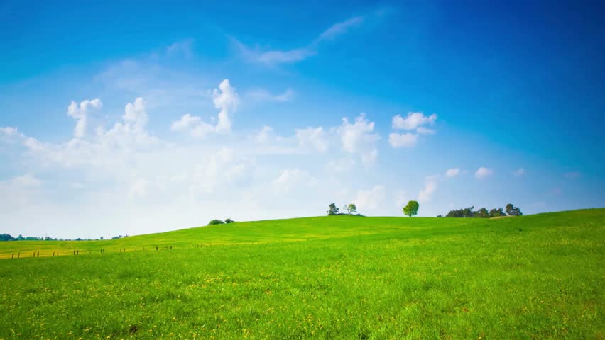 Serene Summer Landscape: Rolling Green Hills under a Blue Sky