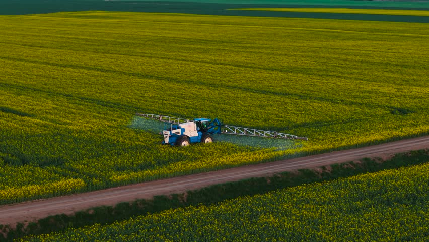 Farming tractor spraying pesticide on blooming canola field near rural dirt road. Agricultural sprayer treating yellow rapeseed crops with protective chemicals. Modern machine applying pesticides