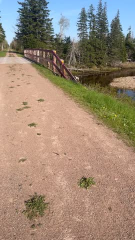 Beautiful bridge over water in nature