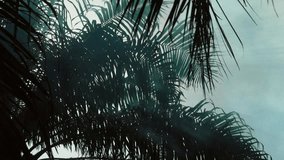 Telephoto tracking shot of palm tree silhouettes with sunlight and smoke drifting through leaves, creating dramatic shadows and light effects in West African atmosphere - Powered by Shutterstock - Get 15% off with code: PIKWIZARD15