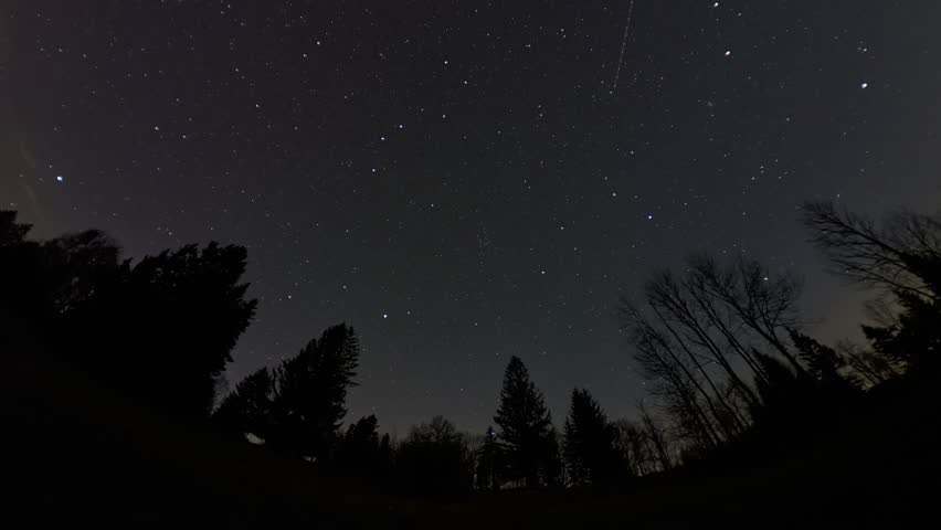 Time-lapse night sky over forest silhouette with starry sky and clouds appearing in moonlight