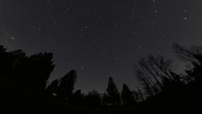 Time-lapse night sky over forest silhouette with starry sky and clouds appearing in moonlight - Powered by Shutterstock - Get 15% off with code: PIKWIZARD15