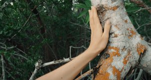 Hand of woman touches tree trunk with orange bark in dense tropical forest mangrove - Powered by Shutterstock - Get 15% off with code: PIKWIZARD15