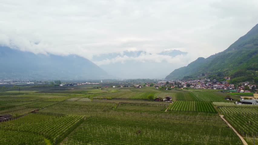Expansive aerial view of blooming apple fields with the Dr. Schär headquarters in the distance