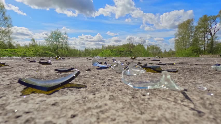 Shards of brown glass lie on sunlit pavement as cumulus clouds drift above Alnus glutinosa, Pinus sylvestris, Betula pendula along the forest edge in a low ground-level scene, camera in time lapse