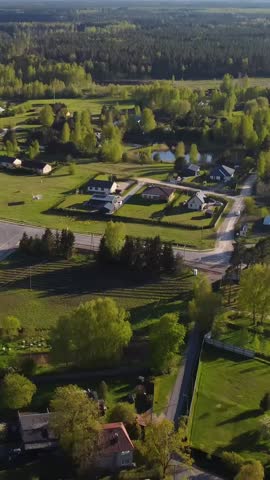 Vertical drone pull away reveals Katlakalns spring residential area with green fields, country roads, traffic, and houses surrounded by trees under clear sky and golden afternoon light