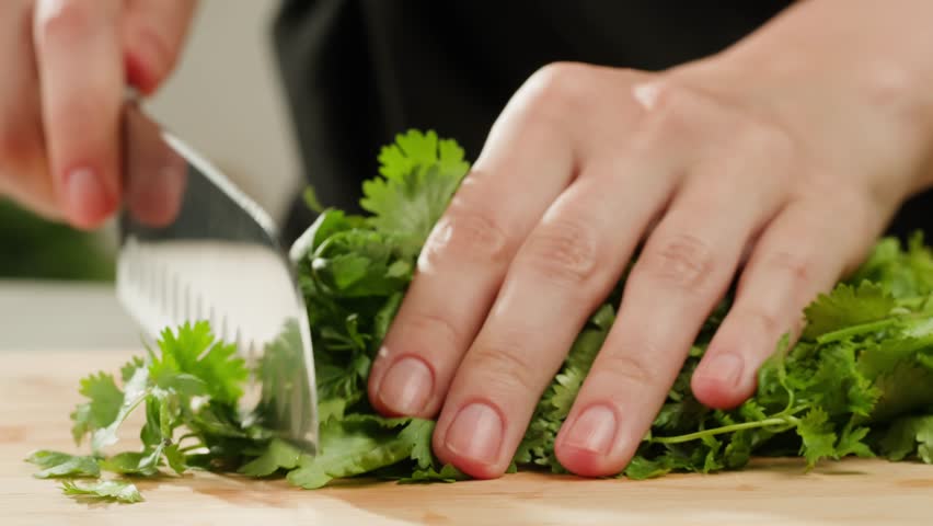 Cilantro parsley cutting by knife close up, chef chop cut coriander aromatic, traditional asian and Mexican cuisine herb studio shot.