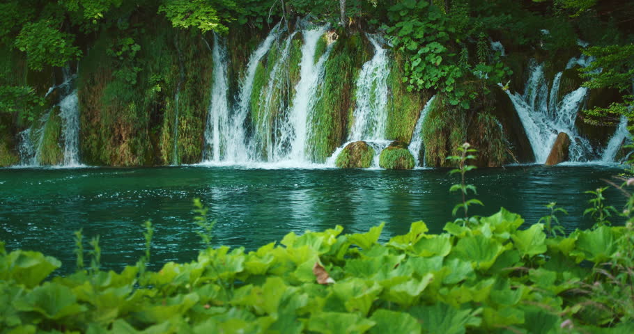 Forest stream flows through lush vegetation with green leaves in Plitvice Lakes National Park summer Croatia