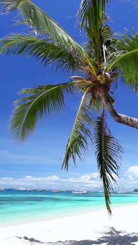 Pristine seashore with palm trees, white sand and turquoise tropical sea. Travel destination. Vertical footage