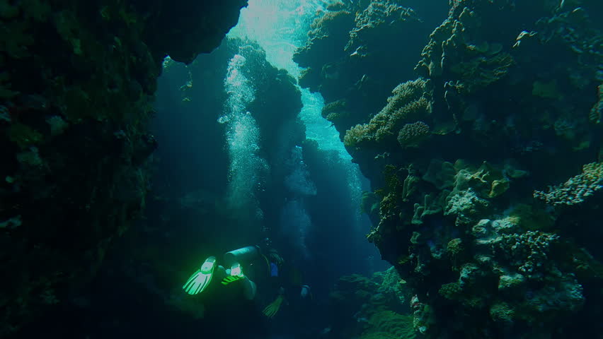 Back view on group of scuba divers swim inside a coral canyon, Slow motion, Adventure and marine exploration concept, scubadivers exploring the deeps of the Ocean