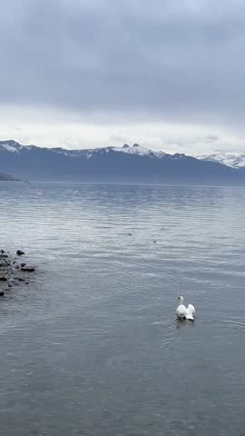Beautiful view of Lake Geneva in Switzerland.	