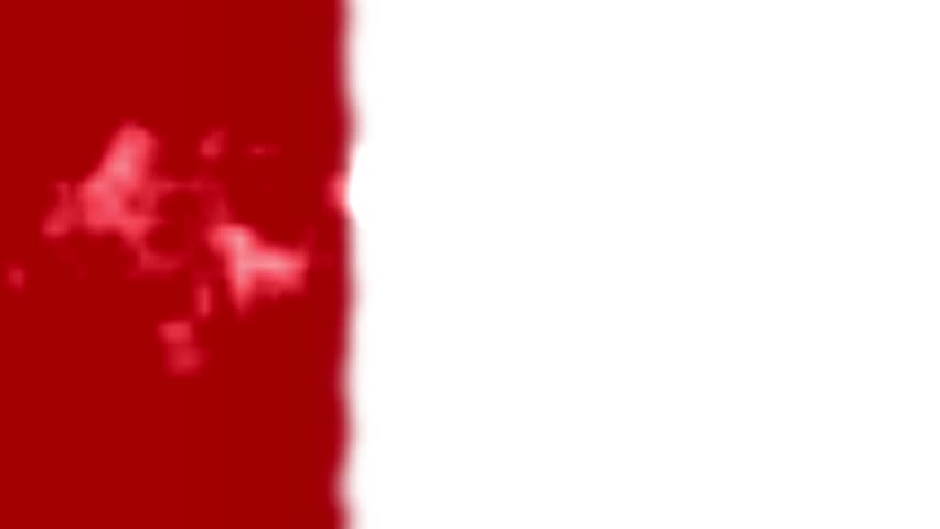 Shutterstock Video