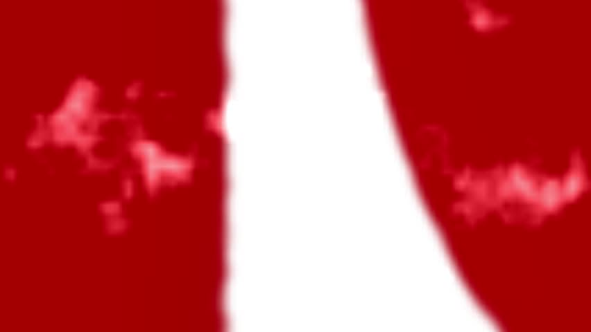 Shutterstock Video