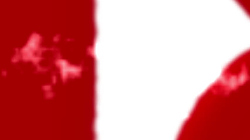 Shutterstock Video