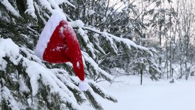 A vibrant red Santa hat hangs from snow-laden pine branches in a tranquil winter landscape. The scene conveys the spirit of the holiday season with fresh snowfall. - Powered by Shutterstock - Get 15% off with code: PIKWIZARD15